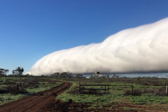 Morning glory cloud spotted at Blackall during July 2016. Image via Michael Butler