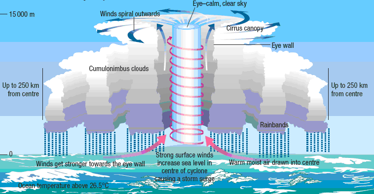 Illustration of how tropical cyclone form