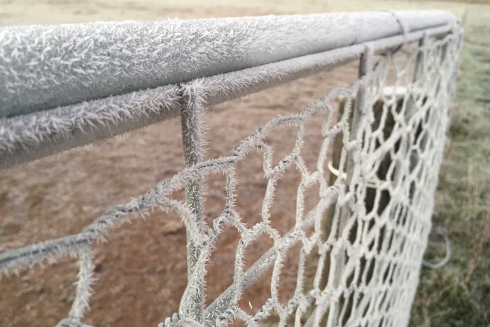 Frozen fence in Canberra, June 2015 via Stephanie Horne